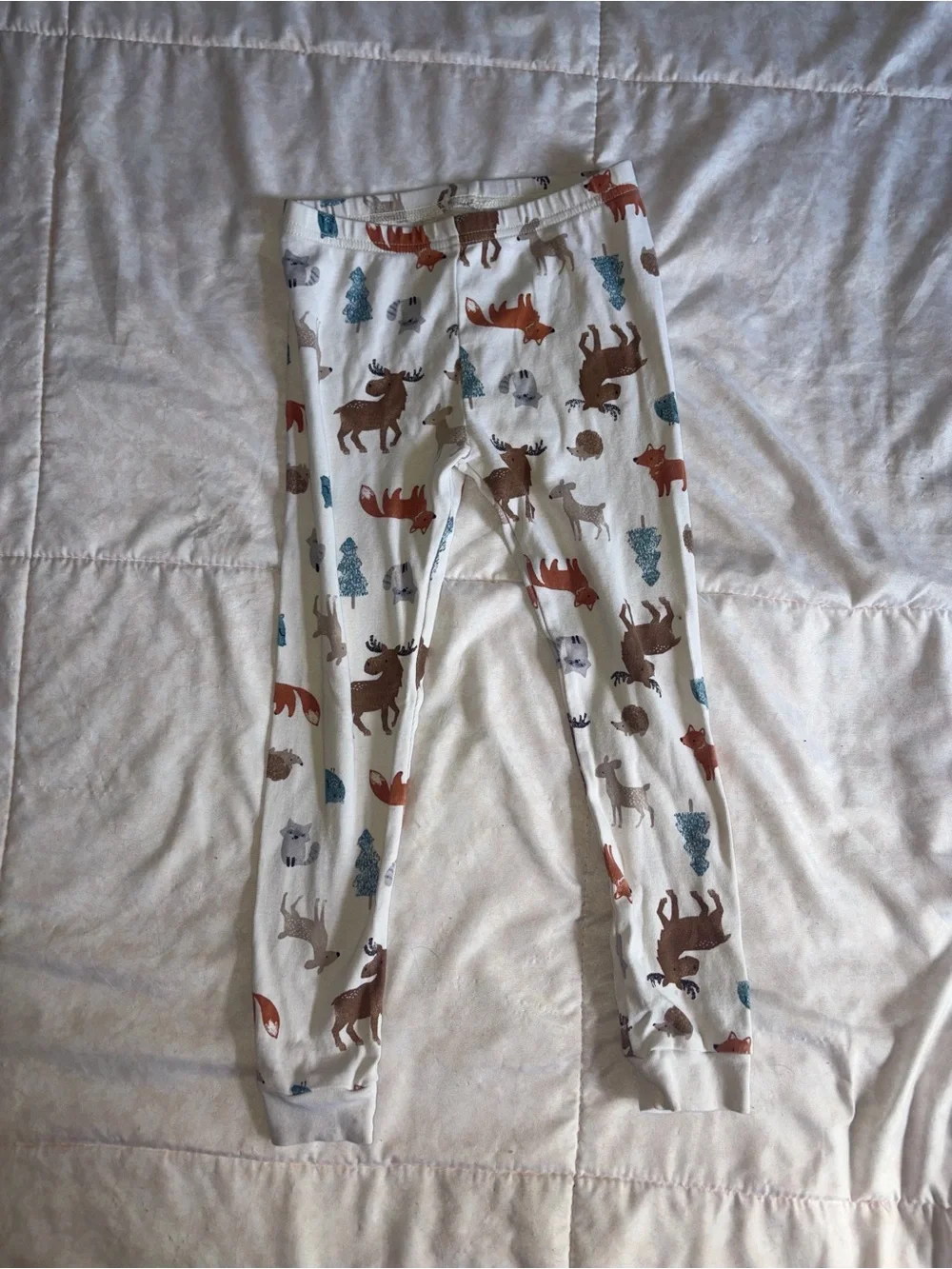 Boys Teal outdoorsy Graphic Pajama Set with Cream Woodland Print Pants